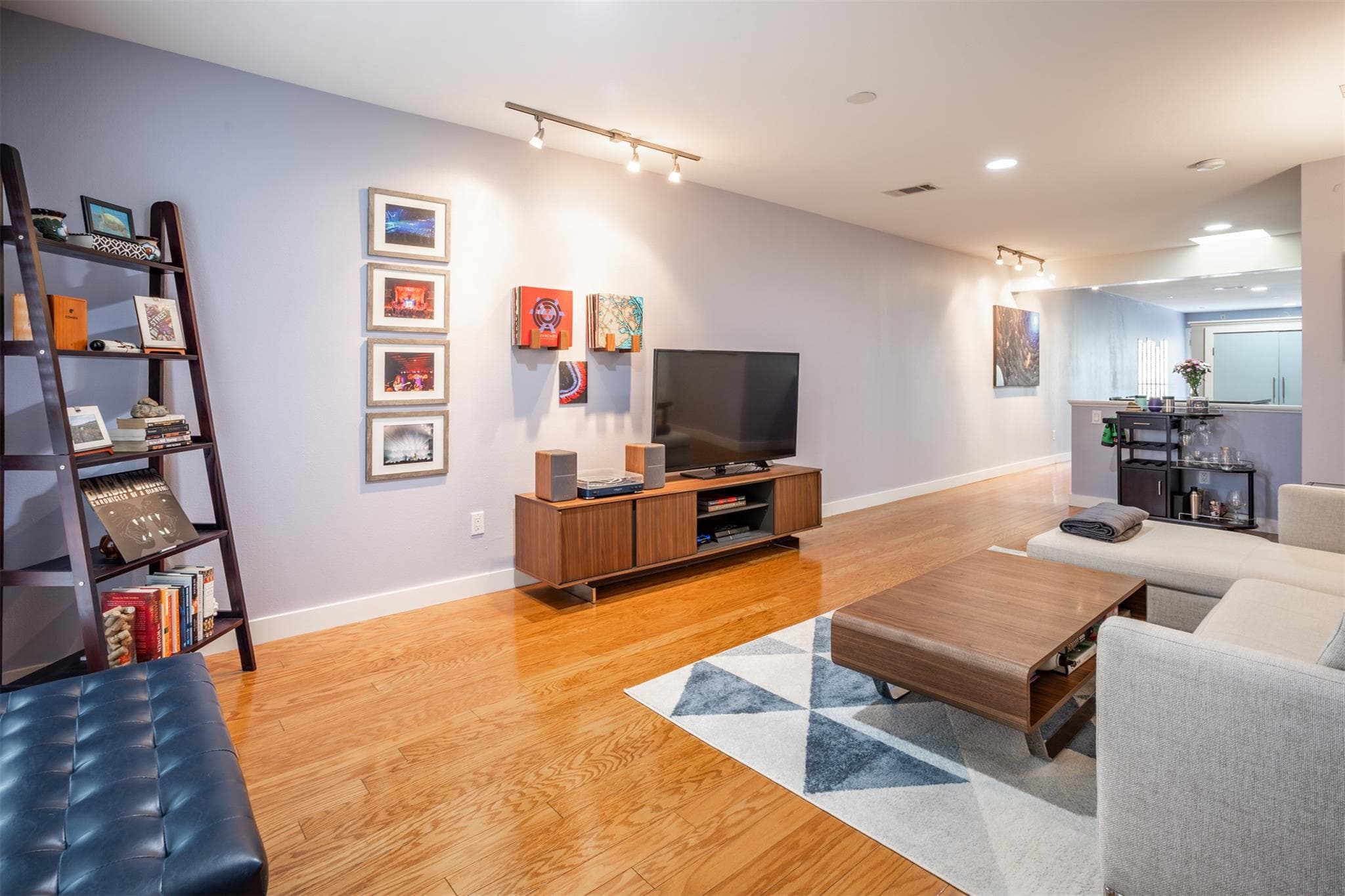 Living room with rail lighting and light wood-typ